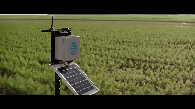 Video Reference: Field, Crop, Grass, Agriculture, Farm, Plant, Technology, Photography, Rural area, Grassland, Person