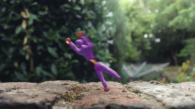 Video Reference: Organism, Plant, Fictional character, Soil, Flower, Action figure