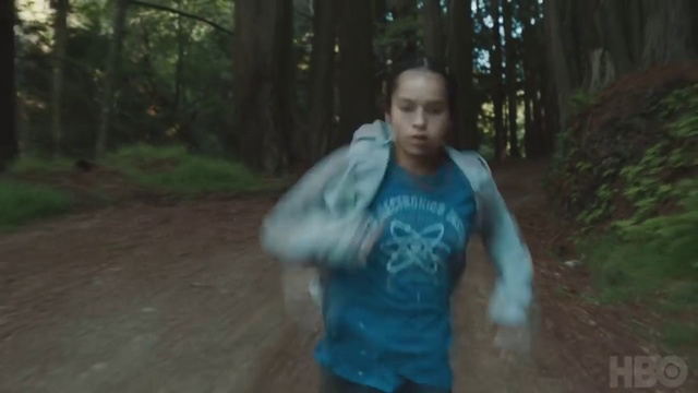 Video Reference: Photograph, Woodland, Natural environment, Green, Forest, Trail, Jungle, Tree, Recreation, Fun