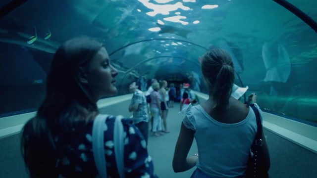 Video Reference: mammal, water, vertebrate, underwater, fun, snapshot, marine biology, aquanaut, scuba diving, girl
