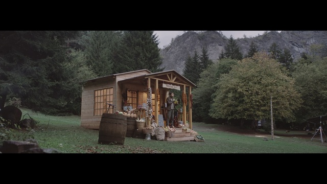 Video Reference: Shed, House, Log cabin, Garden buildings, Tree, Building, Shack, Grass, Hut, Cottage, Person
