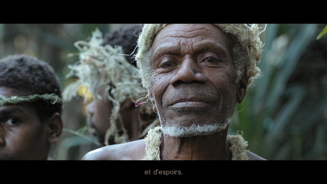 Video Reference: human, screenshot, tree, temple, tribe, plant, human behavior, Person