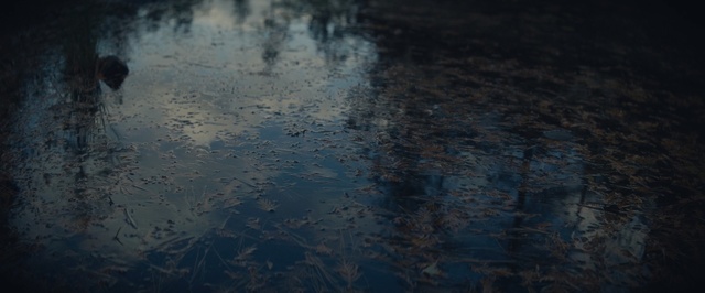 Video Reference: Reflection, Water, Blue, Atmosphere, Sky, Calm, Space, Cloud, Meteorological phenomenon