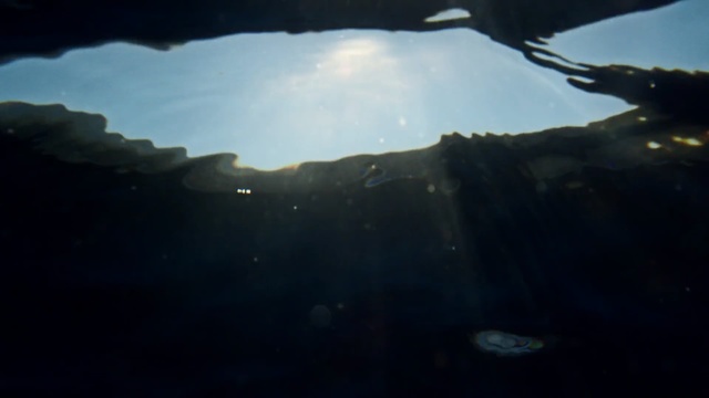 Video Reference: Sky, Light, Water, Sunlight, Cloud, Tree, Photography, Underwater, Geological phenomenon, Landscape