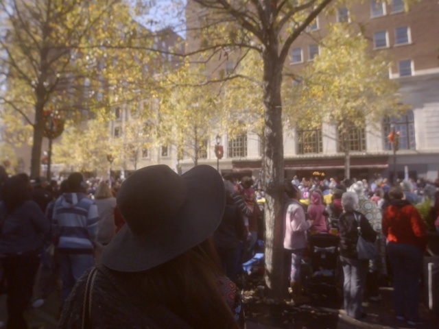 Video Reference: Crowd, People, Tree, Event, Public event, Leaf, Protest, Sunlight, Plant, Street, Person