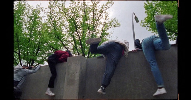 Video Reference: Photograph, Tree, Fun, Snapshot, Leisure, Leaf, Woody plant, Leg, Plant, Photography