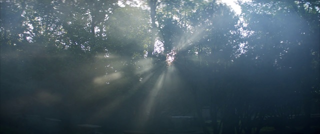Video Reference: Sky, Water, Sunlight, Atmospheric phenomenon, Light, Daytime, Natural environment, Morning, Tree, Atmosphere
