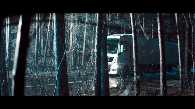 Video Reference: Nature, Tree, Natural environment, Forest, Darkness, Water, Biome, Woody plant, Atmosphere, Woodland