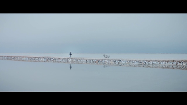 Video Reference: Water, Water resources, Sky, Bird, Fluid, Lake, Liquid, Beach, Horizon, Landscape