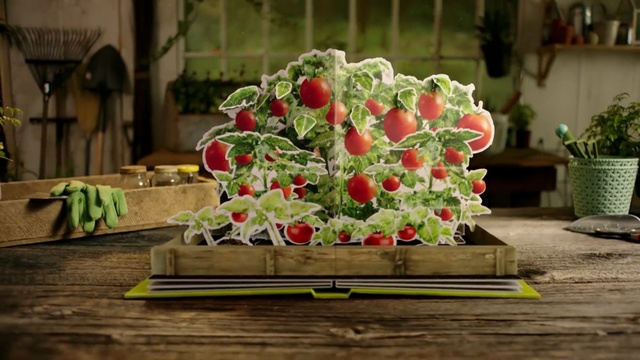 Video Reference: Floristry, Flower Arranging, Floral design, Flower, Bouquet, Plant, Cut flowers, Art, Centrepiece, Flowerpot, Person