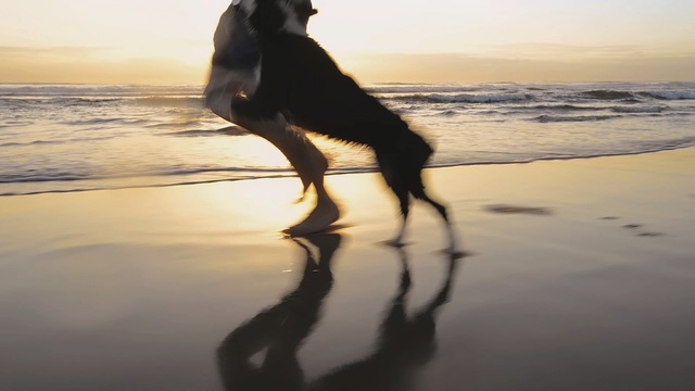 Video Reference: Water, Sea, Beach, Sky, Ocean, Wave, Reflection, Fun, Coast, Leg