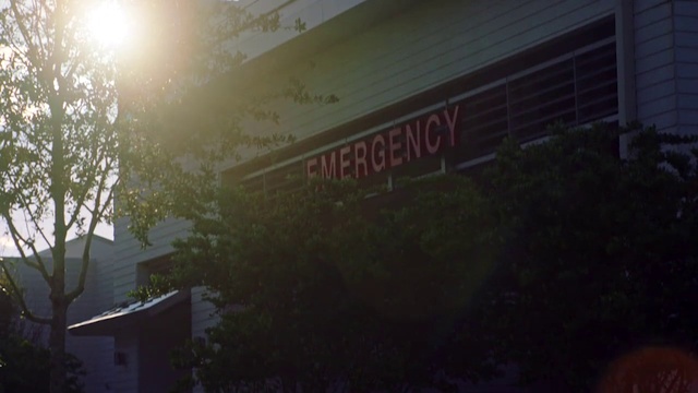 Video Reference: Tree, Window, Plant, Tints and shades, Font, Lens flare, Building, City, Facade, Sunrise