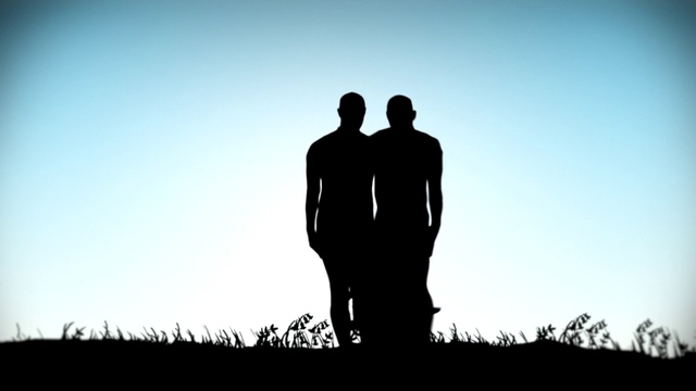 Video Reference: People in nature, Silhouette, Photograph, Standing, Sky, Backlighting, Friendship, Photography, Gesture, Human