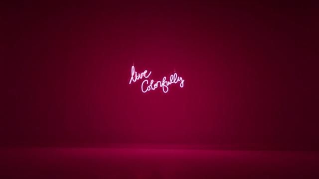 Video Reference: Red, Text, Pink, Black, Maroon, Magenta, Light, Font, Violet, Logo