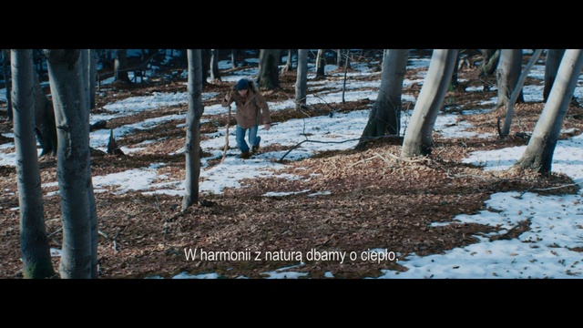 Video Reference: Nature, Tree, Woodland, Water, Forest, Woody plant, Photography, Adaptation, Wildlife, Soil, Person