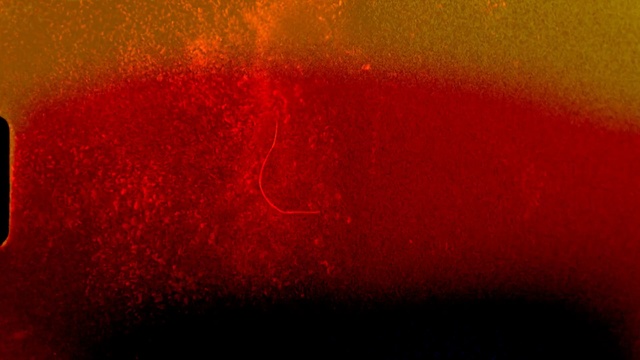 Video Reference: Red, Orange, Geological phenomenon, Maroon, Close-up, Photography, Colorfulness, Macro photography, Graphics