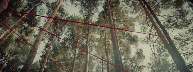Video Reference: Plant, Window, Wood, Tree, Trunk, Twig, Sky, Tints and shades, Recreation, Rope