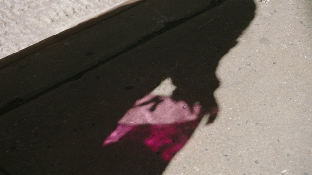 Video Reference: Shadow, Pink, Road surface, Art, Asphalt, Tints and shades, Street art, Outdoor, Sitting, Piece, Sidewalk, Street, Small, White, Side, Man, Little, Beach, Laying, Walking, Black, Parking, Bench, Bird, Red, Table, Standing, City, Blue, Phone, Riding, Ground