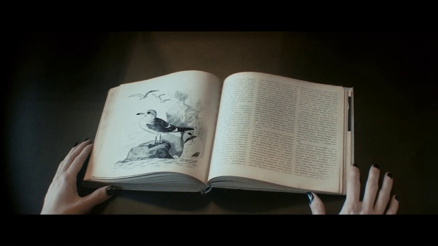 Video Reference: Book, Illustration, Hand, Publication, Animation, Graphic design, Fiction, Drawing, Reading, Paper, Indoor, Person, Sitting, Table, Woman, Holding, Man, Desk, White, Wearing, Laptop, Laying, Bed, Room, Red, Phone, Text, Handwriting