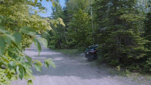 Video Reference: ecosystem, vegetation, nature reserve, road, tree, trail, forest, car, path, plant
