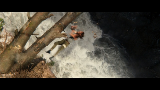 Video Reference: Wildlife, Tree, Organism