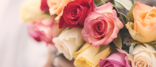 Video Reference: Flower, Garden roses, Rose, Pink, Petal, Bouquet, Rose family, Cut flowers, Flower Arranging, Plant