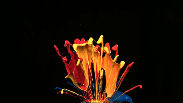 Video Reference: Light, Flower, Petal, Yellow, Orange, Plant, Organism, Photography, Macro photography, Still life photography
