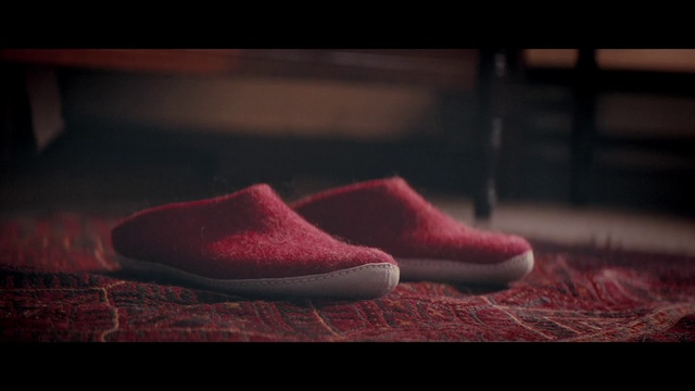 Video Reference: Footwear, Shoe, Red, Pink, Light, Magenta, Still life photography, Carmine, Outdoor shoe, Photography