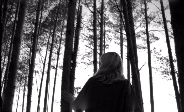 Video Reference: Photograph, Tree, Black, White, Black-and-white, Nature, Monochrome photography, Natural environment, Forest, Monochrome