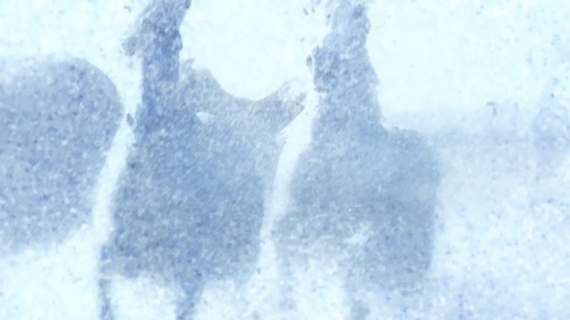 Video Reference: blue, white, water, freezing, sky, geological phenomenon, ice, atmosphere, frost, snow