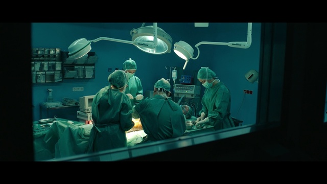 Video Reference: screenshot, organism, underwater, darkness, technology, medical, scene, midnight, computer wallpaper, Person