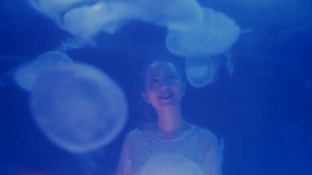 Video Reference: jellyfish, blue, cnidaria, marine invertebrates, underwater, invertebrate, marine biology, organism, computer wallpaper, Person