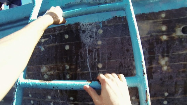 Video Reference: Water, Hand, Soil