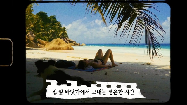 Video Reference: Vacation, Caribbean, Tropics, Summer, Palm tree, Tree, Beach, Adaptation, Tourism, Travel