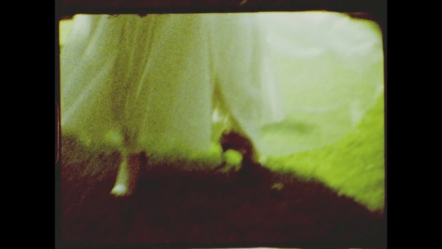 Video Reference: Green, Photograph, Yellow, Snapshot, Macro photography, Tints and shades, Photography, Organism, Adaptation, Square