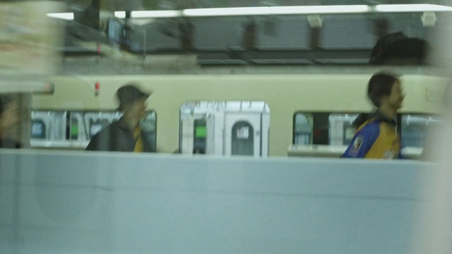 Video Reference: Transport, Public transport, Passenger, Metro, Train, Vehicle