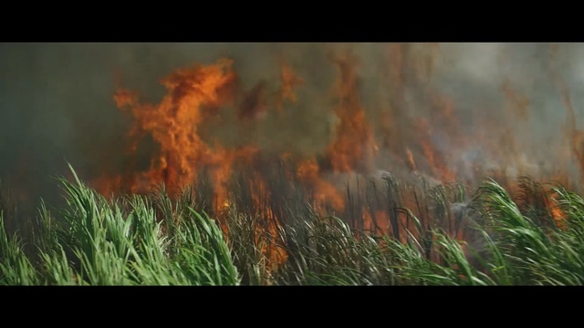 Video Reference: Wildfire, Vegetation, Grass, Prairie, Grassland, Grass, Ecoregion, Plant, Flame, Geological phenomenon