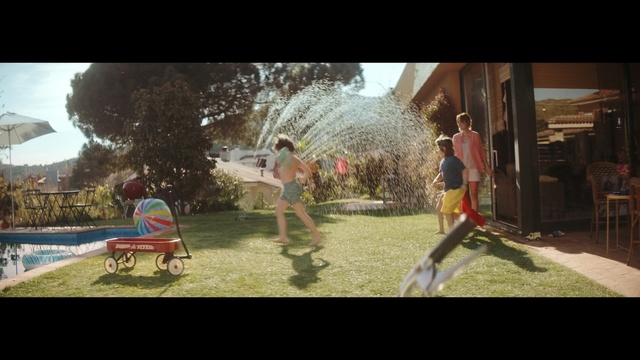 Video Reference: Photograph, Fun, Tree, Grass, Snapshot, Public space, Leisure, Playground, Screenshot, Summer