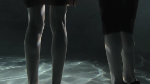 Video Reference: leg, joint, human body, human leg, foot, darkness, tights, knee, thigh, midnight