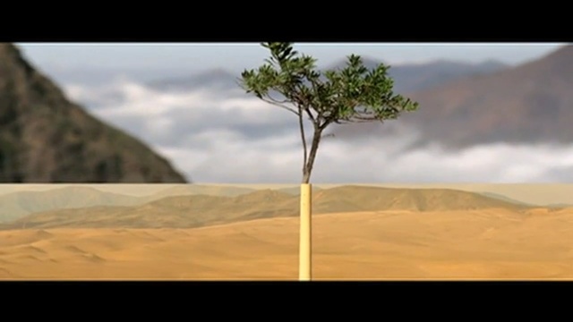 Video Reference: ecosystem, sky, tree, ecoregion, landscape, aeolian landform, savanna, biome, desert, soil, Person