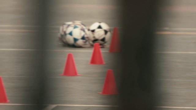 Video Reference: Ball, Soccer ball, Football, World, Play, Games, Sports equipment, Art