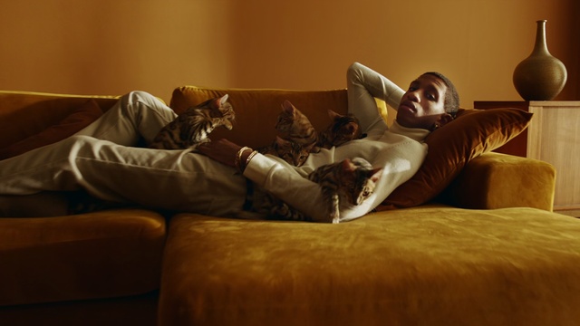 Video Reference: Couch, Comfort, Furniture, Room, Nap, Bed, Leg, Interior design, Floor, Reading