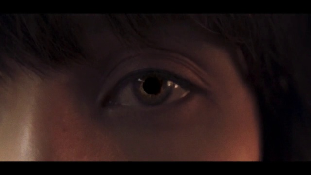 Video Reference: Face, Eyebrow, Eye, Eyelash, Iris, Close-up, Skin, Organ, Nose, Head