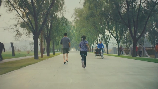 Video Reference: Atmospheric phenomenon, Walking, Jogging, Tree, Morning, Leisure, Recreation, Running, Fun, Thoroughfare, Person