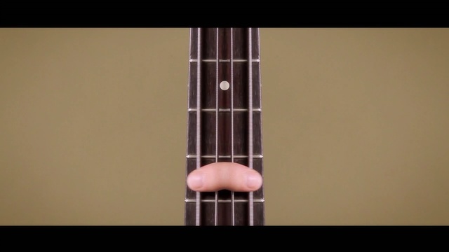 Video Reference: String instrument, Guitar, Musical instrument, String instrument, Plucked string instruments, String instrument accessory, Ukulele, Acoustic-electric guitar, Bass guitar, Folk instrument