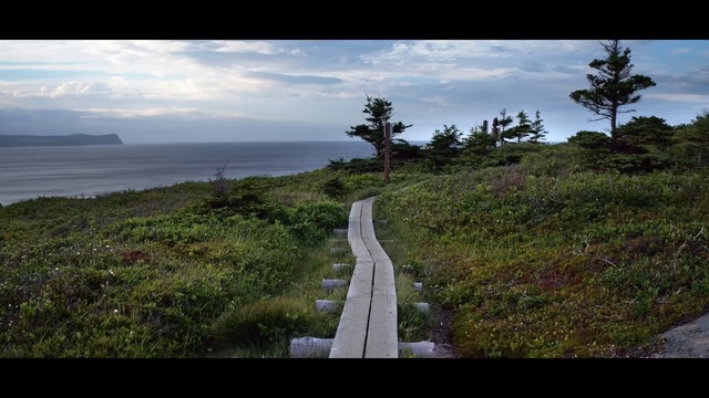 Video Reference: sky, coast, sea, wilderness, tree, promontory, cloud, horizon, shore, terrain