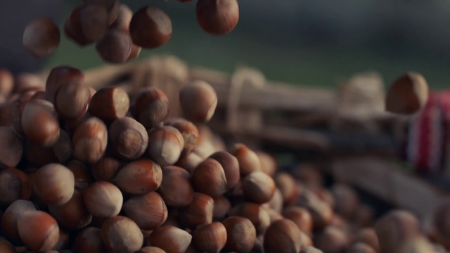 Video Reference: Natural foods, Food, Plant, Superfood, Hazelnut, Nuts & seeds, Nut, Chestnut, Fruit, Wood