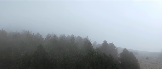 Video Reference: Mist, Fog, Atmospheric phenomenon, Haze, Sky, Atmosphere, Morning, Tree, Cloud, Hill station