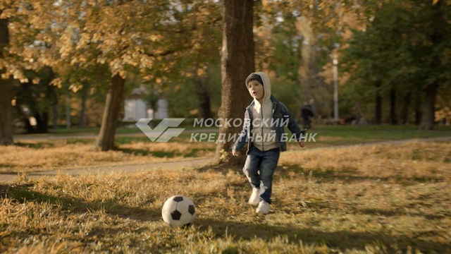 Video Reference: photograph, mammal, vertebrate, tree, grass, photography, plant, autumn, grass family, girl