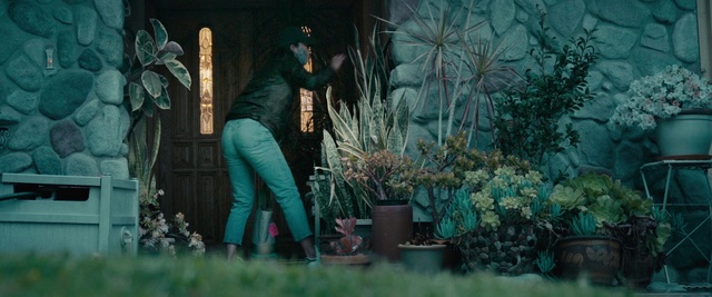Video Reference: Green, Photograph, Botany, Tree, Organism, Plant, Garden, Grass, Forest, Woodland